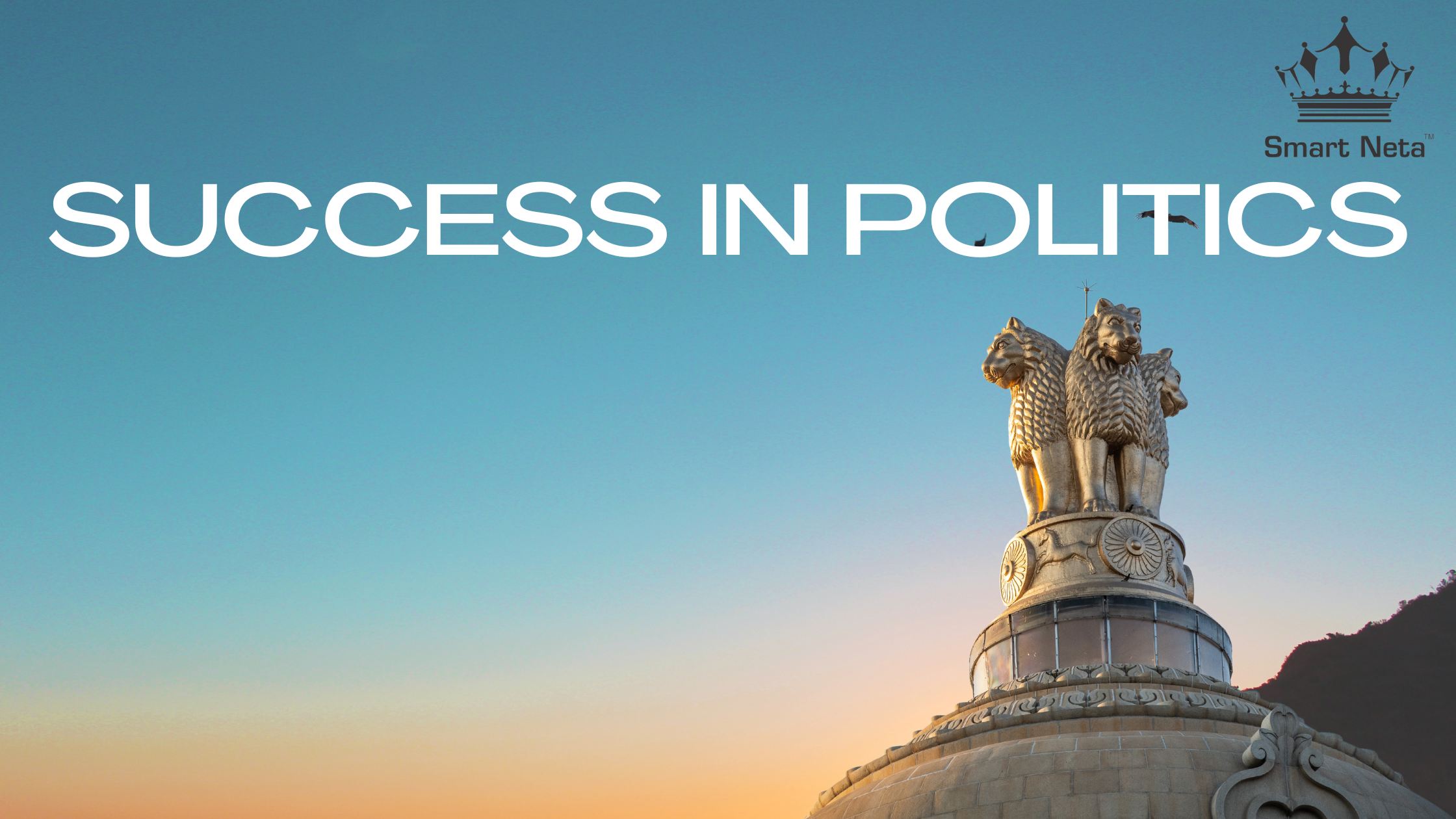 Political Consulting | HOW TO SUCCEED IN POLITICS